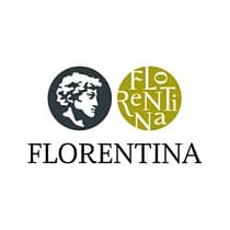 Кухонная мойка Florentina Кухонная мойка Florentina
